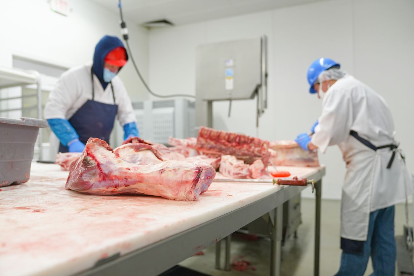 Công nhân pha lóc thịt trong xưởng chế biến